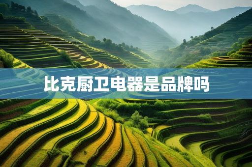 比克厨卫电器是品牌吗